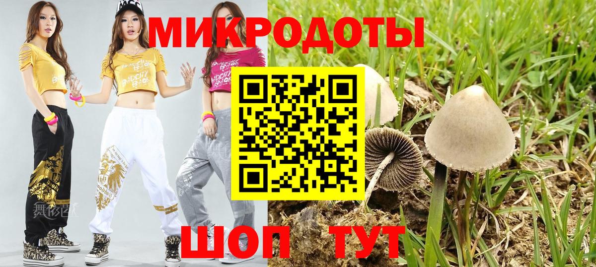 Псилоцибиновые грибы мицелий Нальчик
