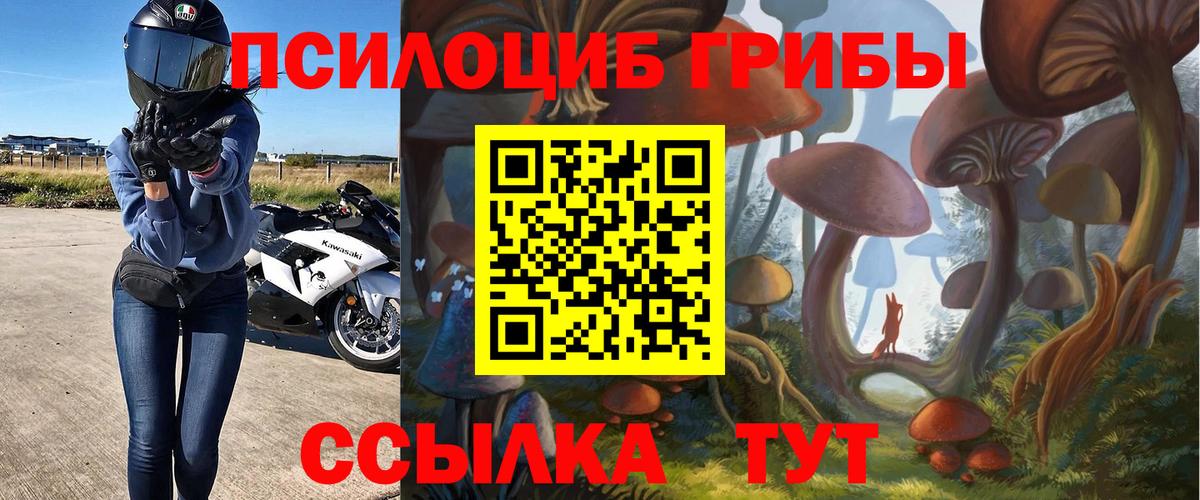 Нальчик  Галлюциногенные грибы Magic Shrooms  Псилоцибиновые грибы ЛСД  Вход с VPN 