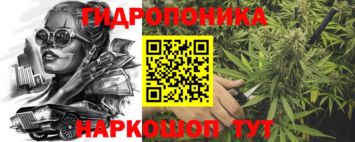 Бошки марихуана план Нальчик